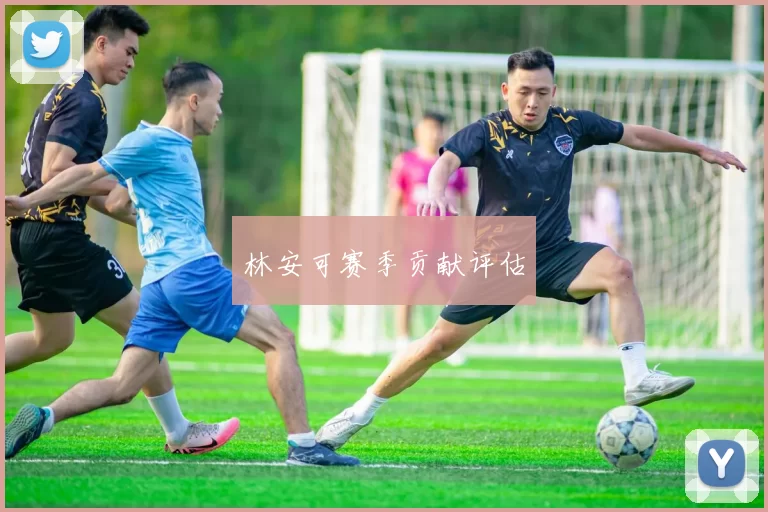林安可赛季贡献评估