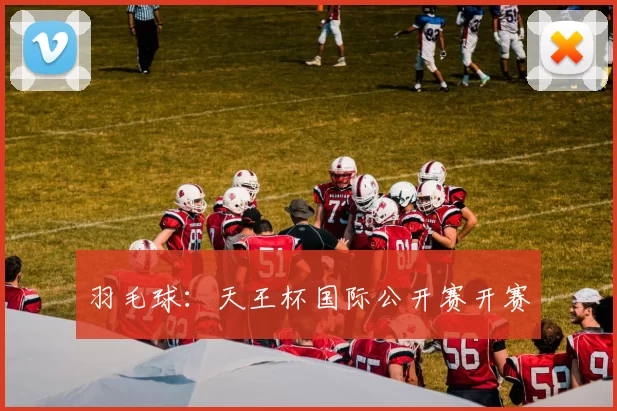 羽毛球：天王杯国际公开赛开赛