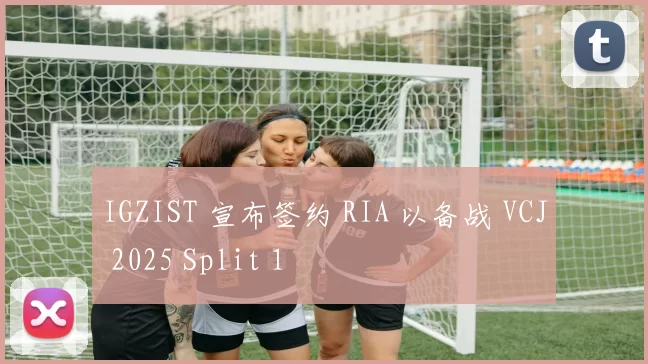 IGZIST 宣布签约 RIA 以备战 VCJ 2025 Split 1