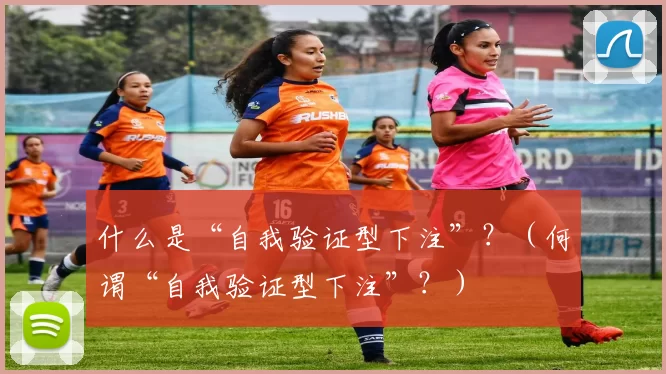 什么是“自我验证型下注”？（何谓“自我验证型下注”？）