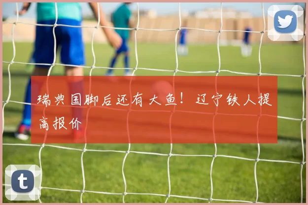 瑞典国脚后还有大鱼！辽宁铁人提高报价