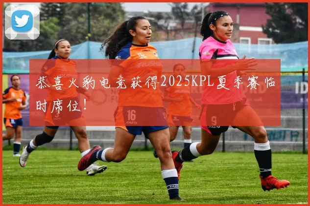 恭喜火豹电竞获得2025KPL夏季赛临时席位！