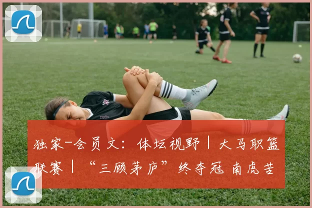 独家-会员文：体坛视野｜大马职篮联赛｜“三顾茅庐”终夺冠 南虎苦尽甘来
