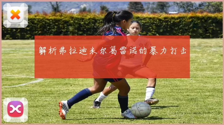 解析弗拉迪米尔葛雷诺的暴力打击