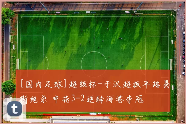 [国内足球]超级杯-于汉超扳平路易斯绝杀 申花3-2逆转海港夺冠