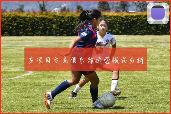 多项目电竞俱乐部运营模式分析